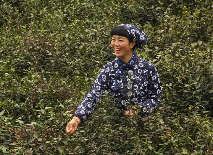 梦连直播热门2
